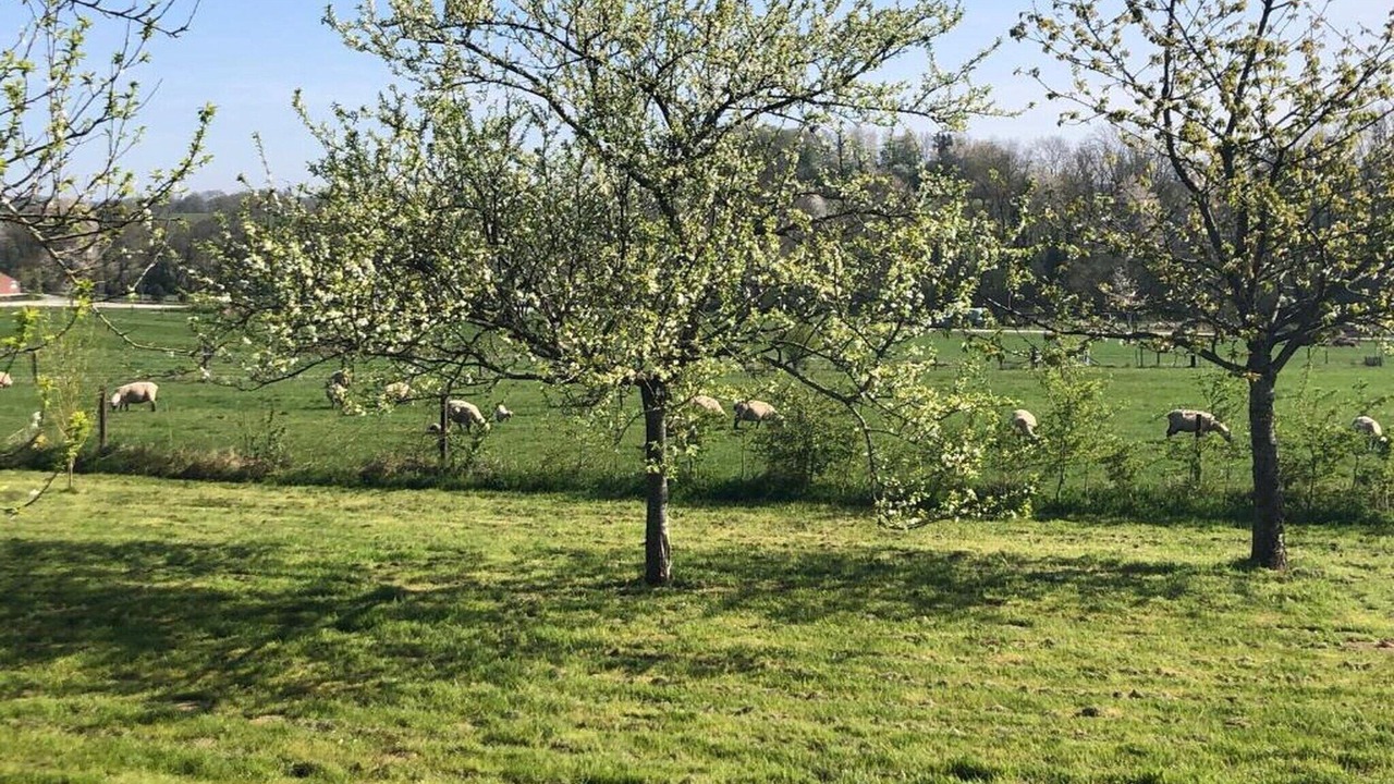 Photo of Others in Signy-lAbbaye