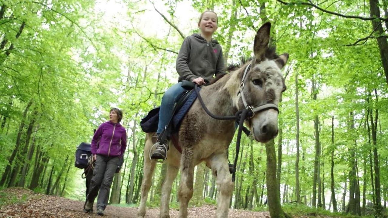 Photo of Others in Signy-lAbbaye