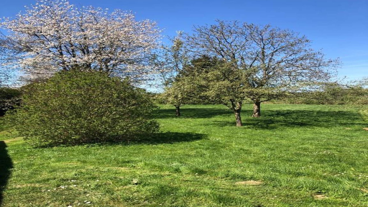 Photo of Others in Signy-lAbbaye