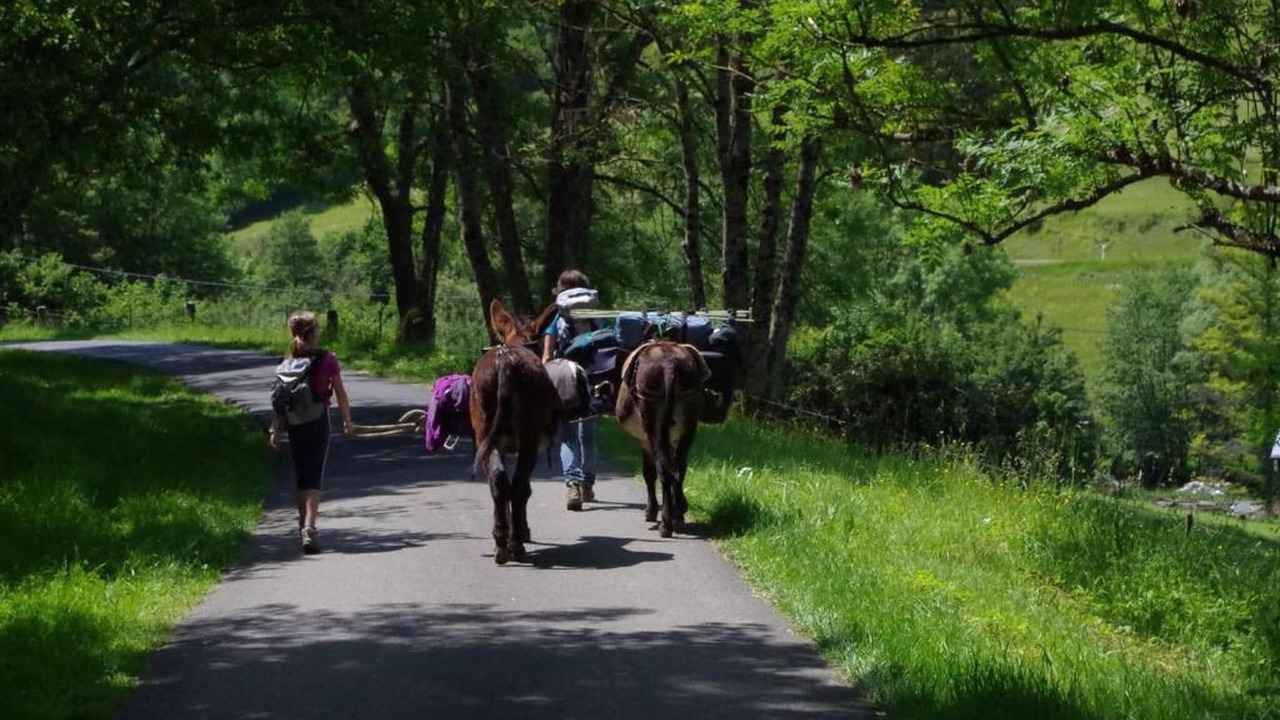 Photo of Others in Signy-lAbbaye