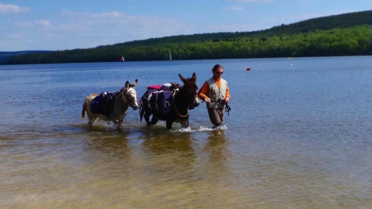 Photo of Others in Signy-lAbbaye