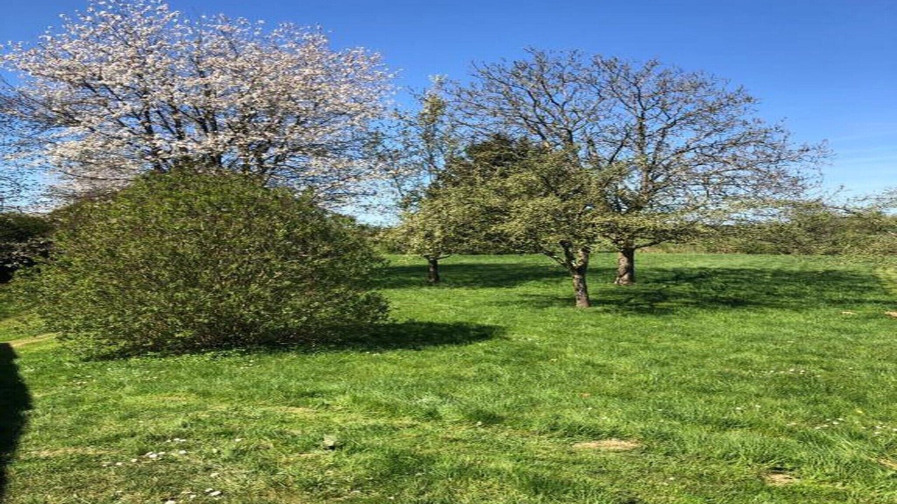 Photo of Others in Signy-lAbbaye