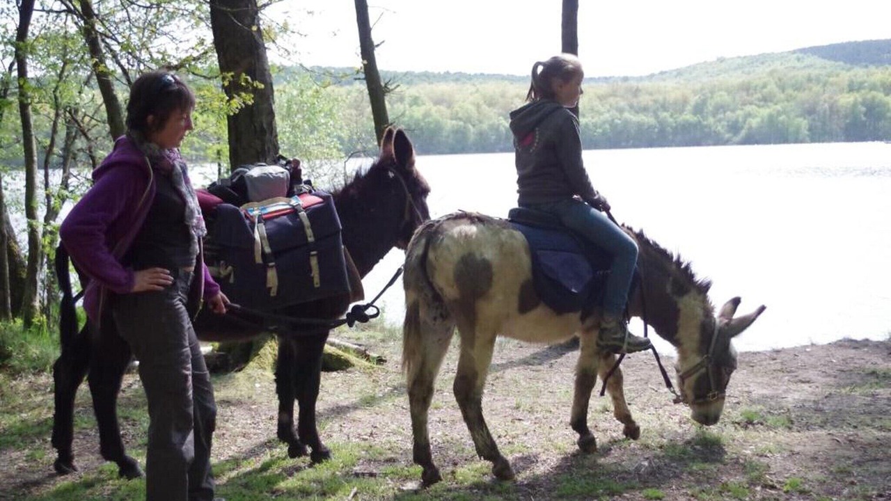 Photo of Others in Signy-lAbbaye