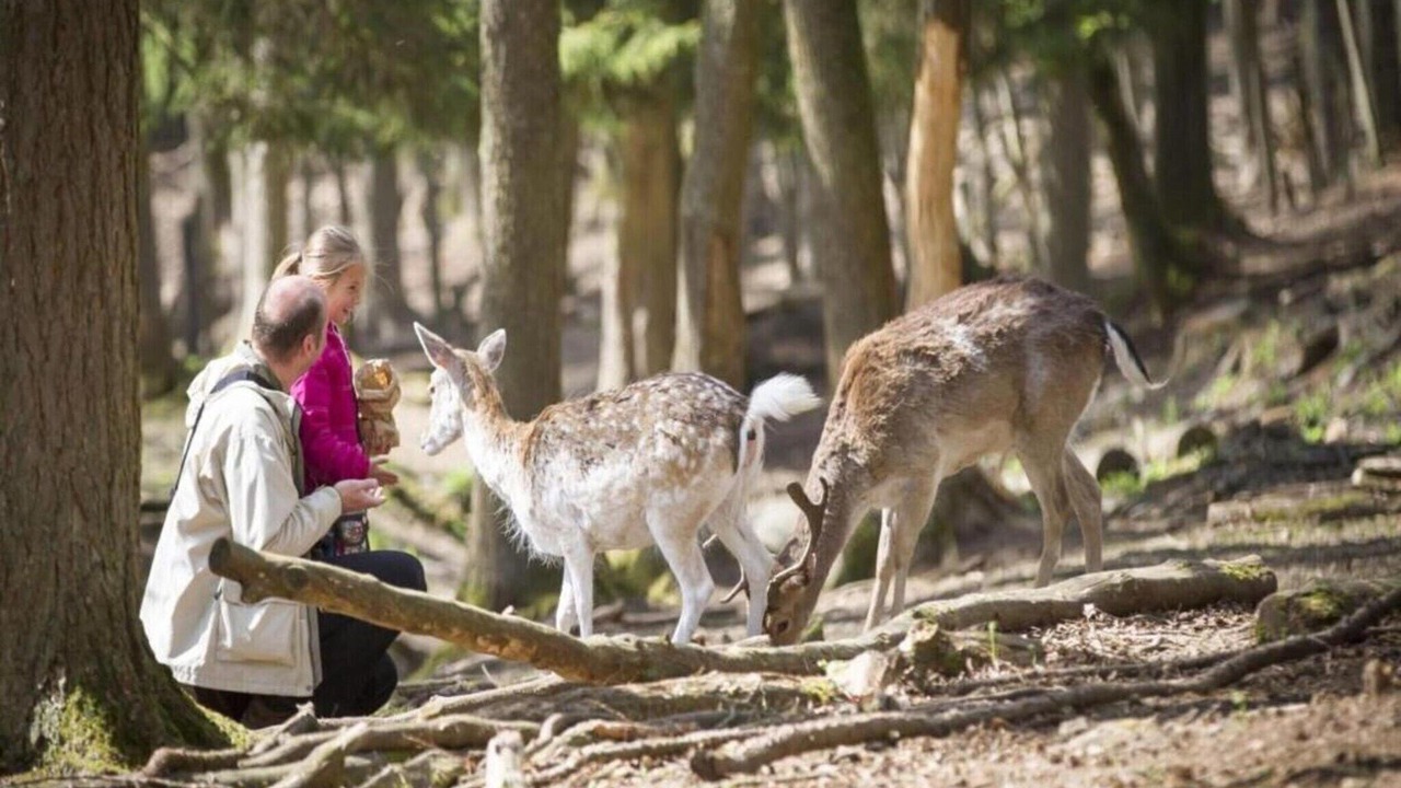 Photo of Others in Signy-lAbbaye
