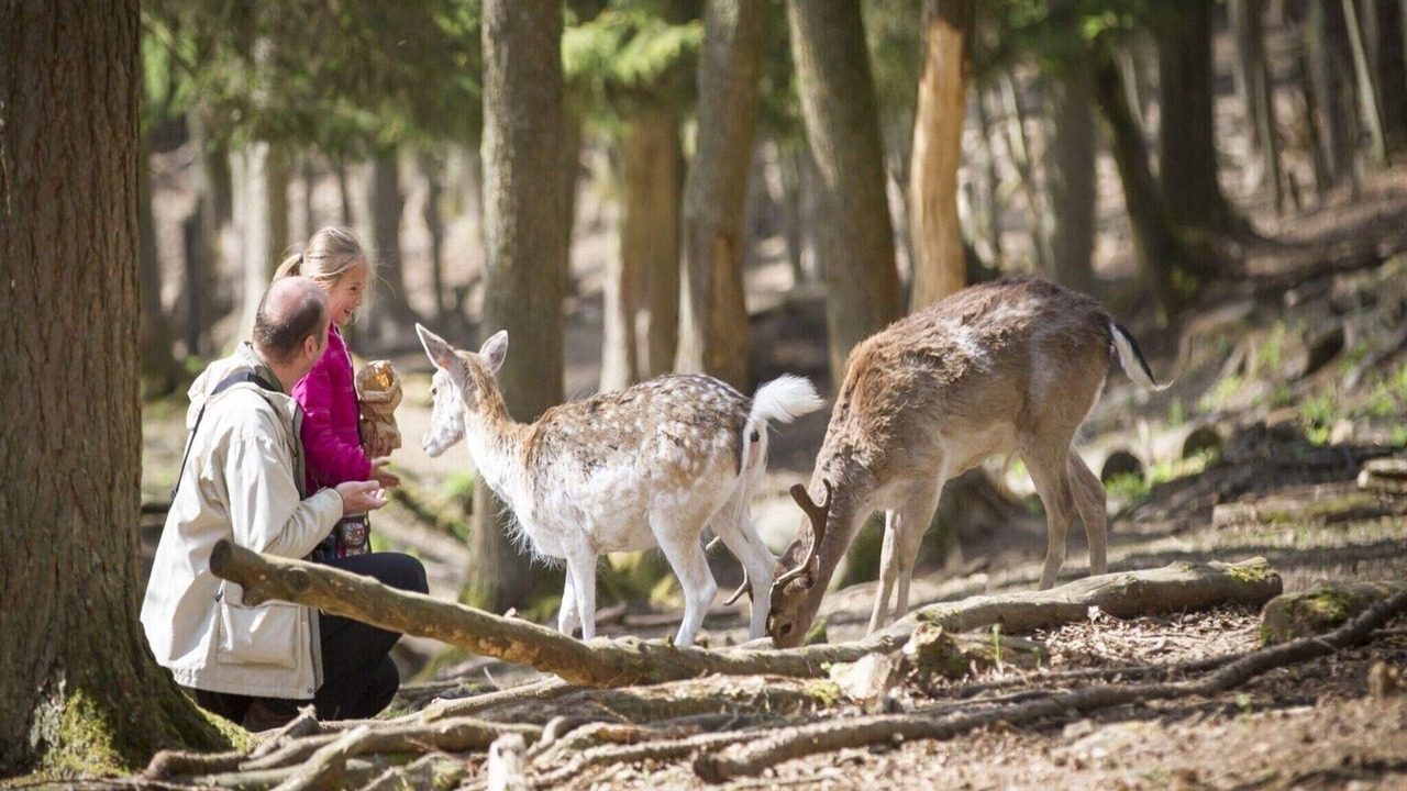 Photo of Others in Signy-lAbbaye