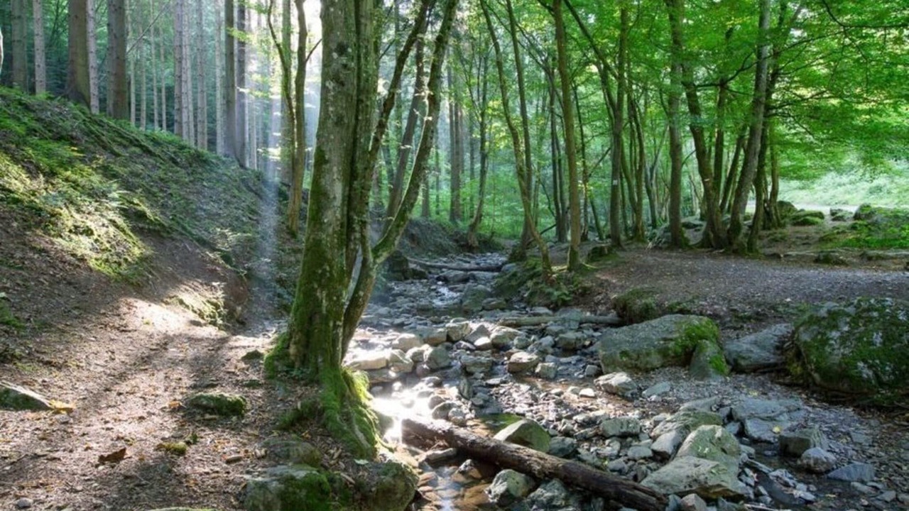 Photo of Others in Signy-lAbbaye