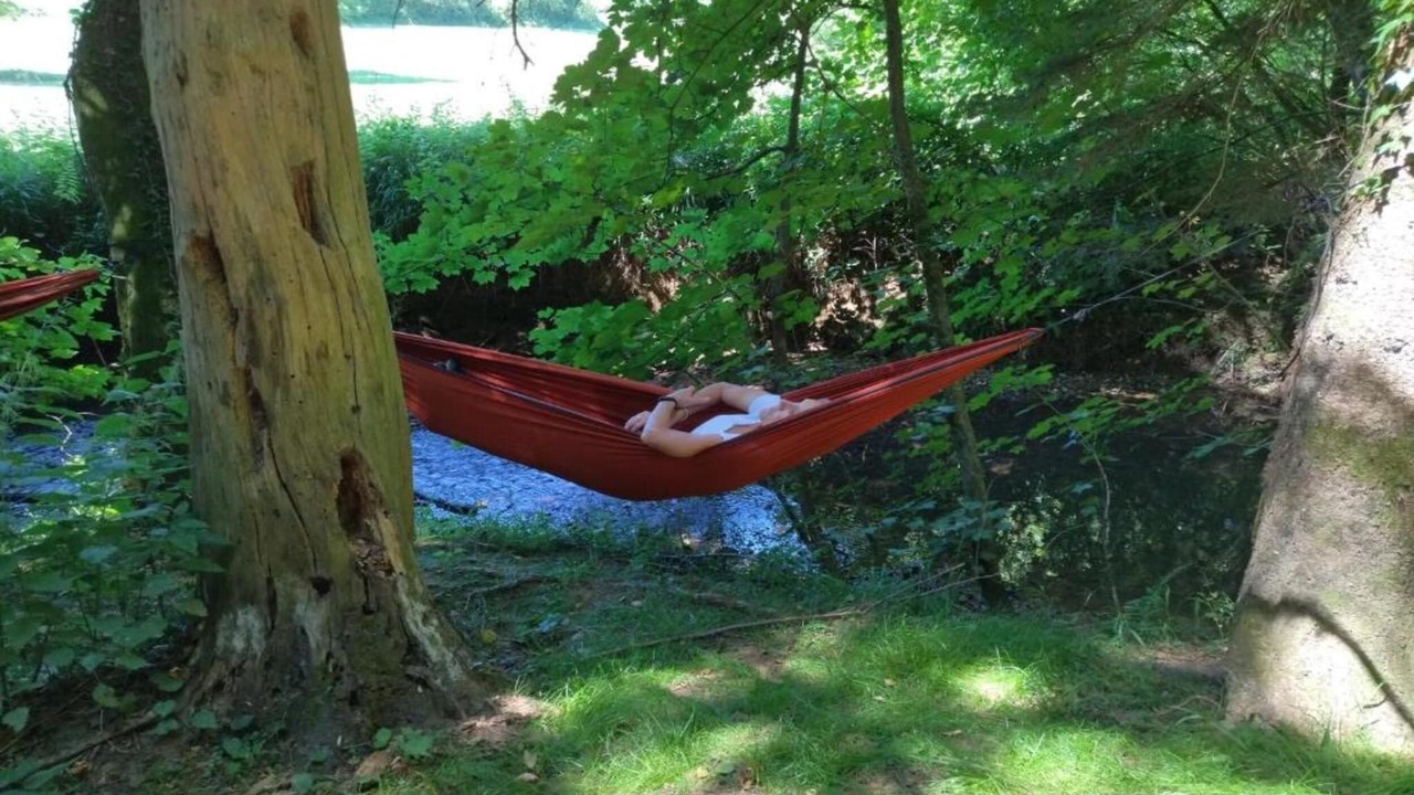 Photo of Others in Signy-lAbbaye