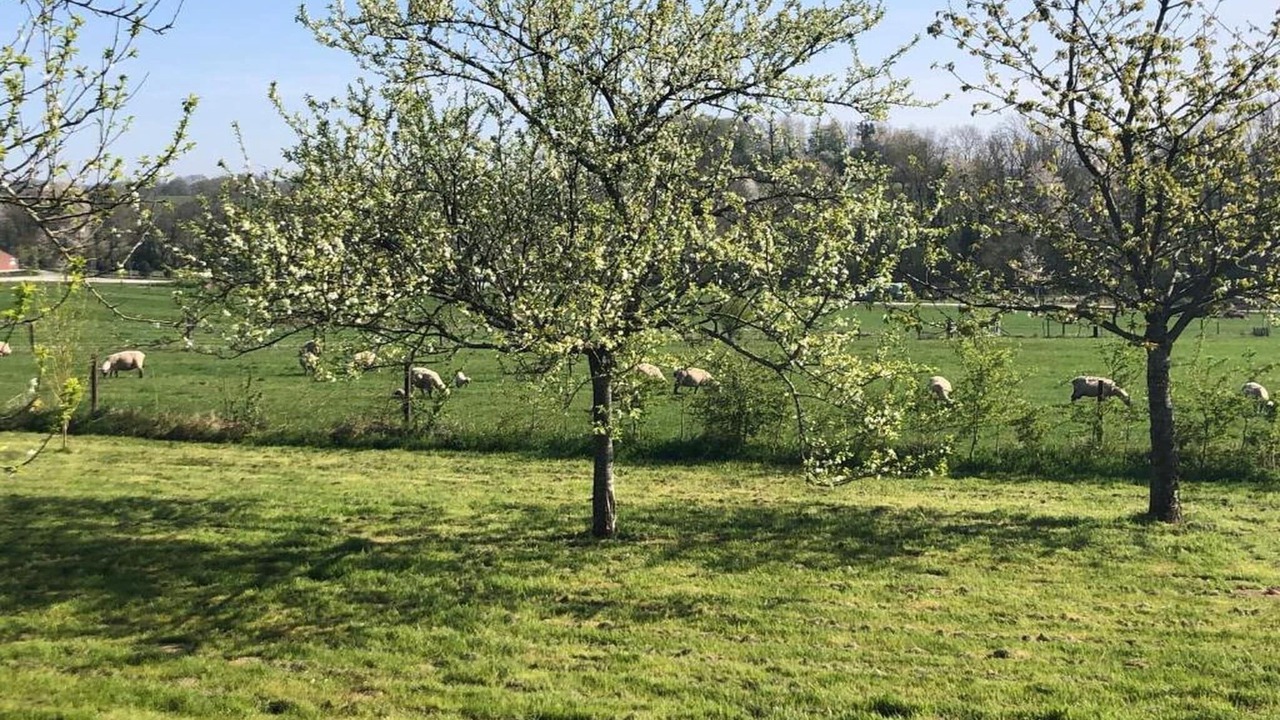 Photo of Others in Signy-lAbbaye