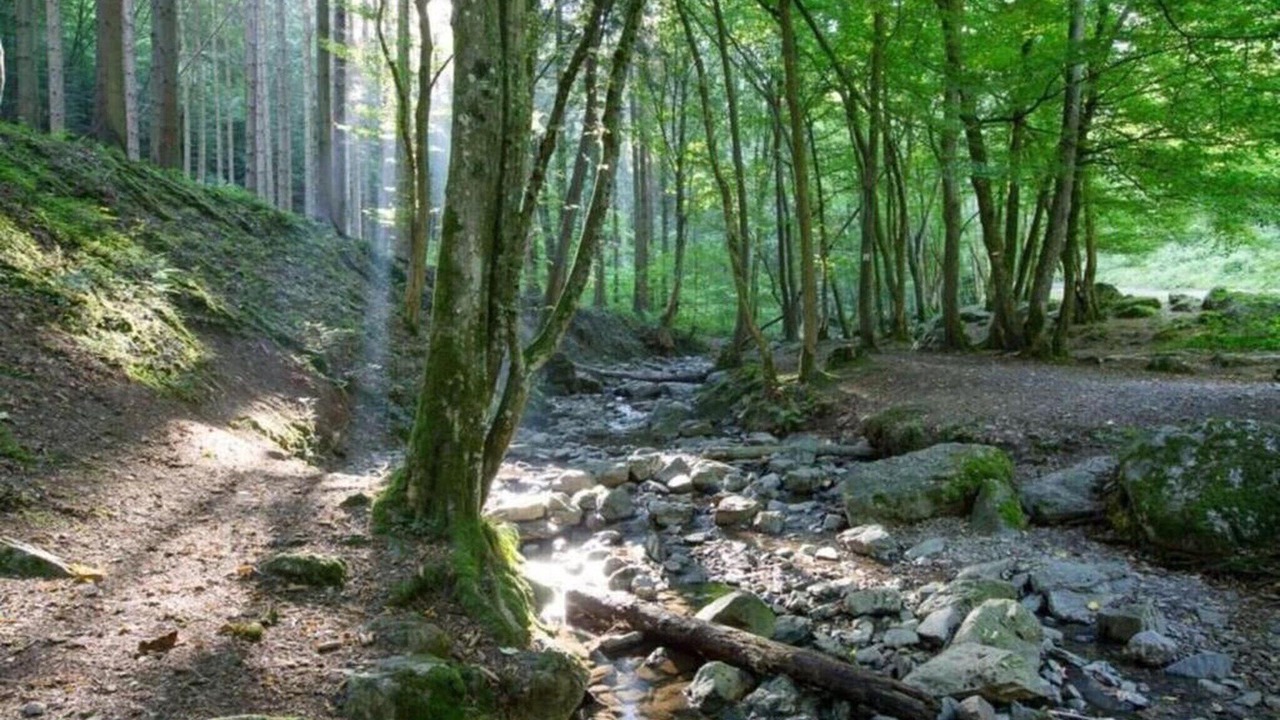 Photo of Others in Signy-lAbbaye