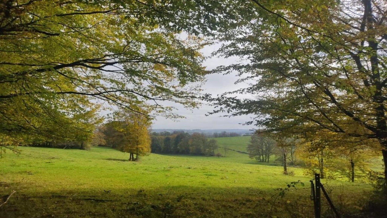 Photo of Others in Signy-lAbbaye