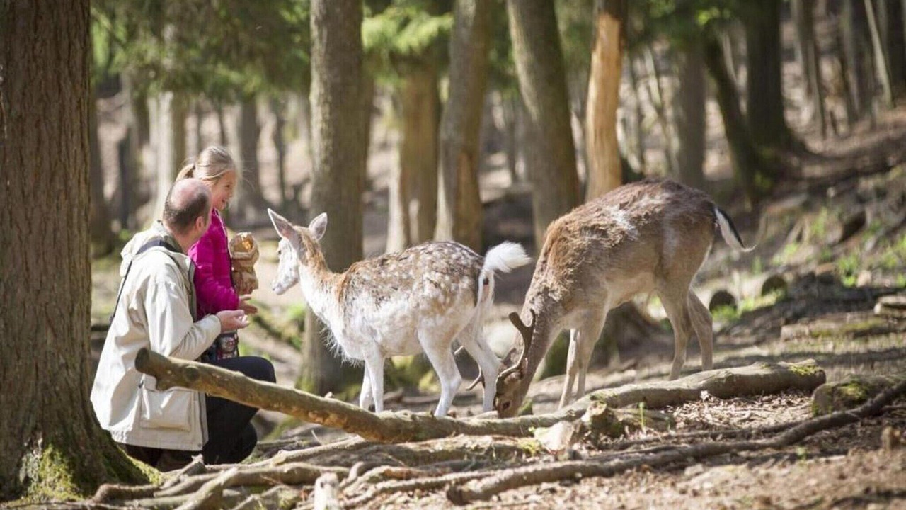 Photo of Others in Signy-lAbbaye