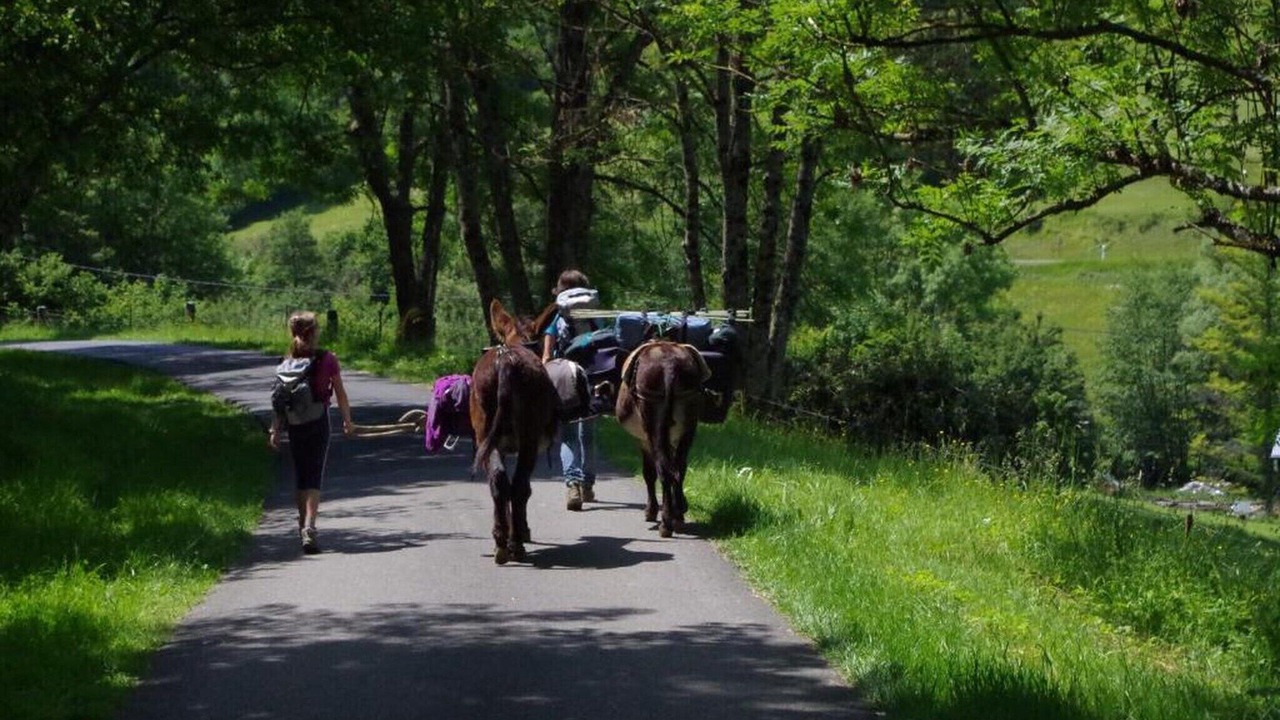 Photo of Others in Signy-lAbbaye