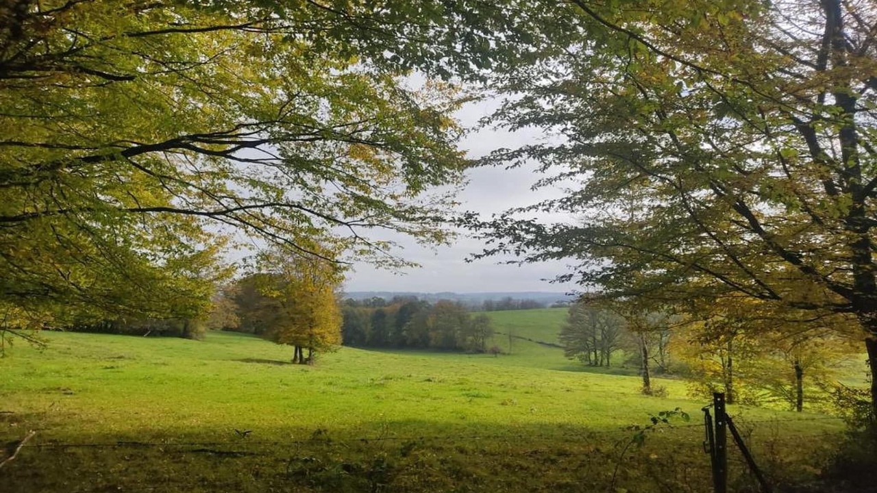 Photo of Others in Signy-lAbbaye