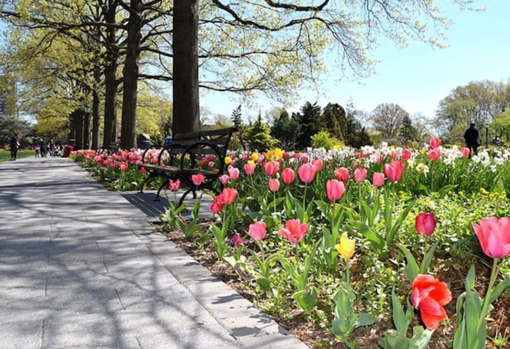 Photo of Others in East Flushing