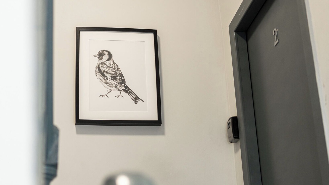 Photo of Others in North Shore