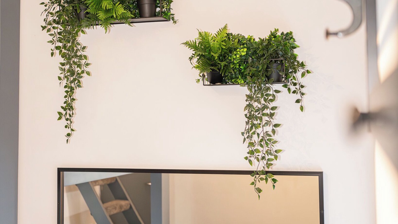 Photo of Others in North Shore