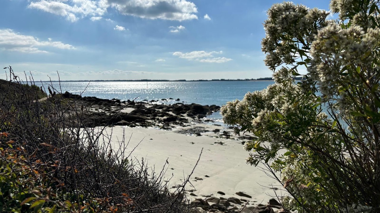 Photo of Others in Crach