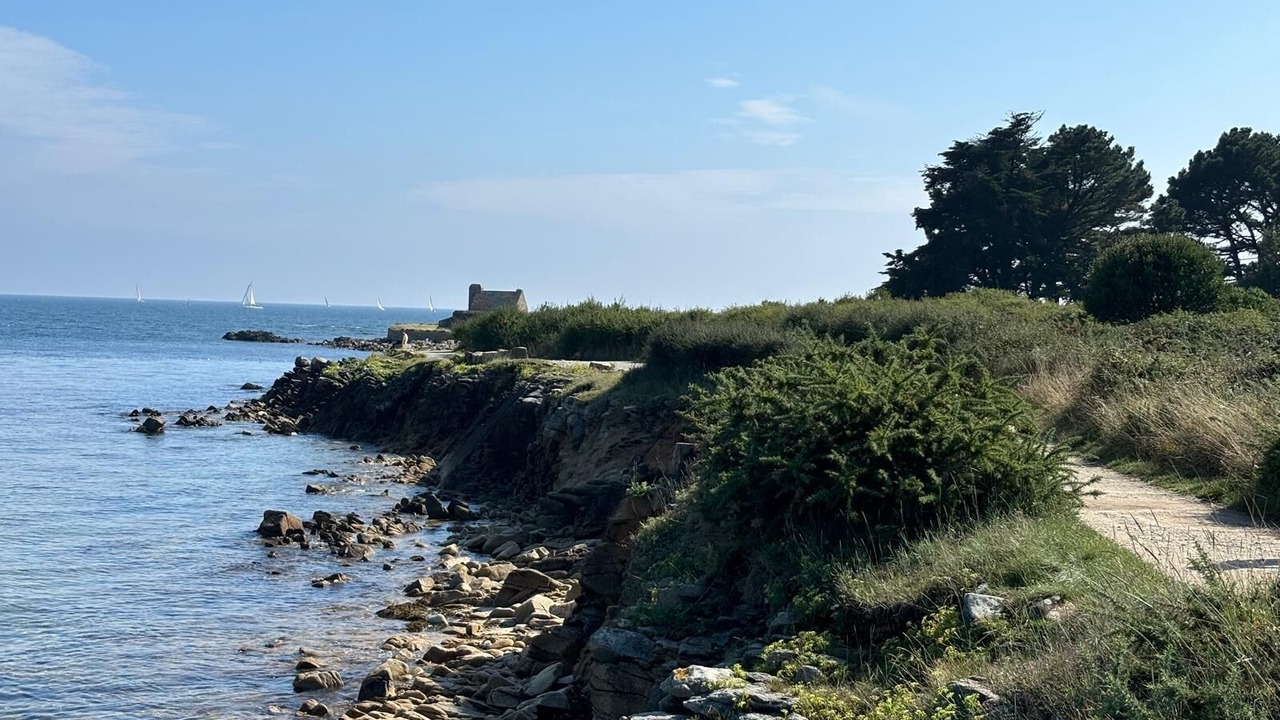 Photo of Others in Crach