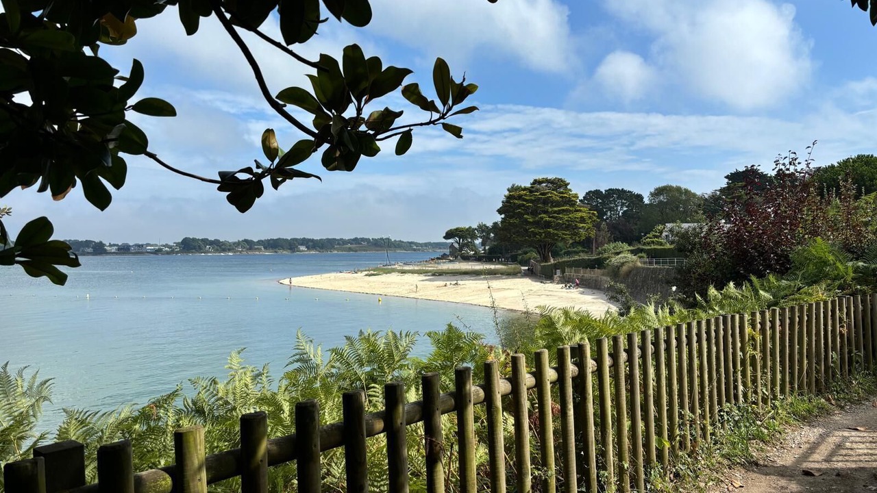 Photo of Others in Crach