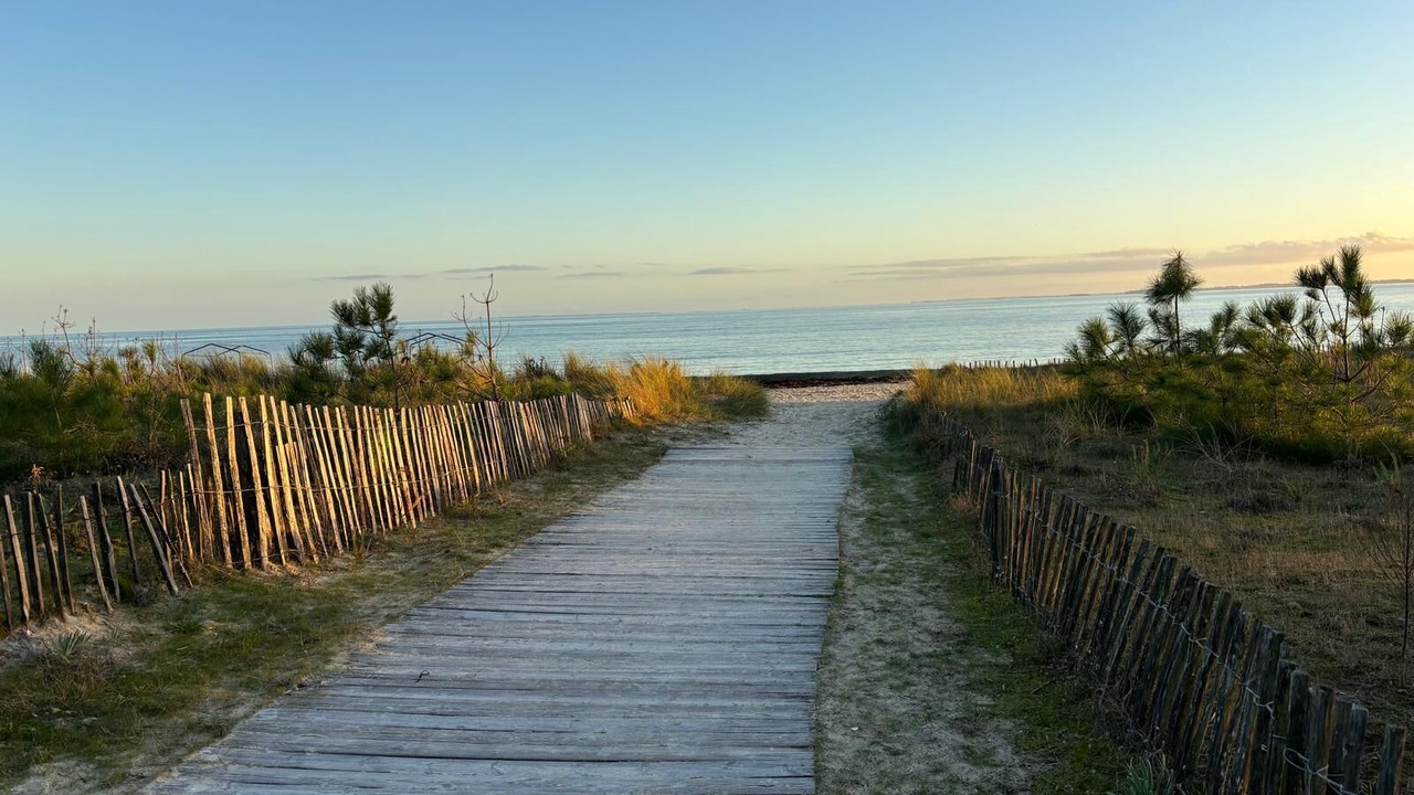 Photo of Others in Crach