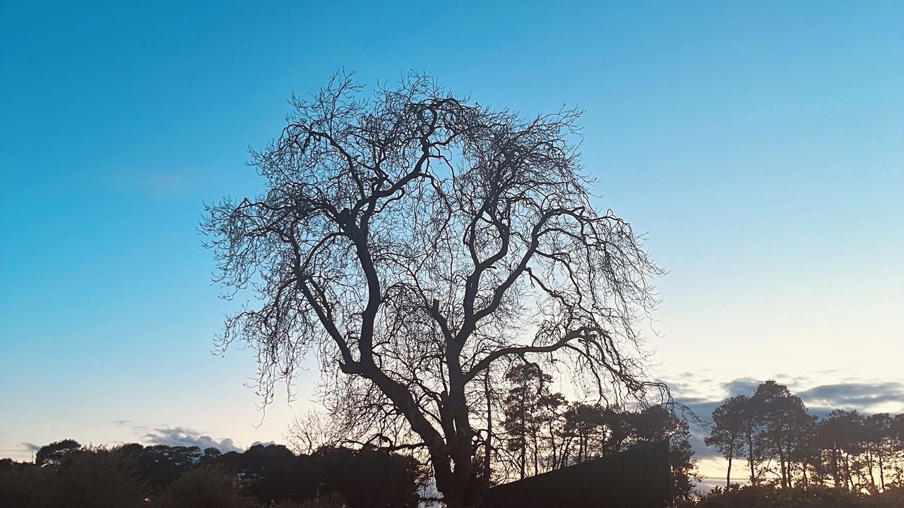 Photo of Others in Cornhill on Tweed