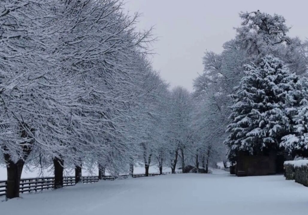 Photo of Others in Cornhill on Tweed