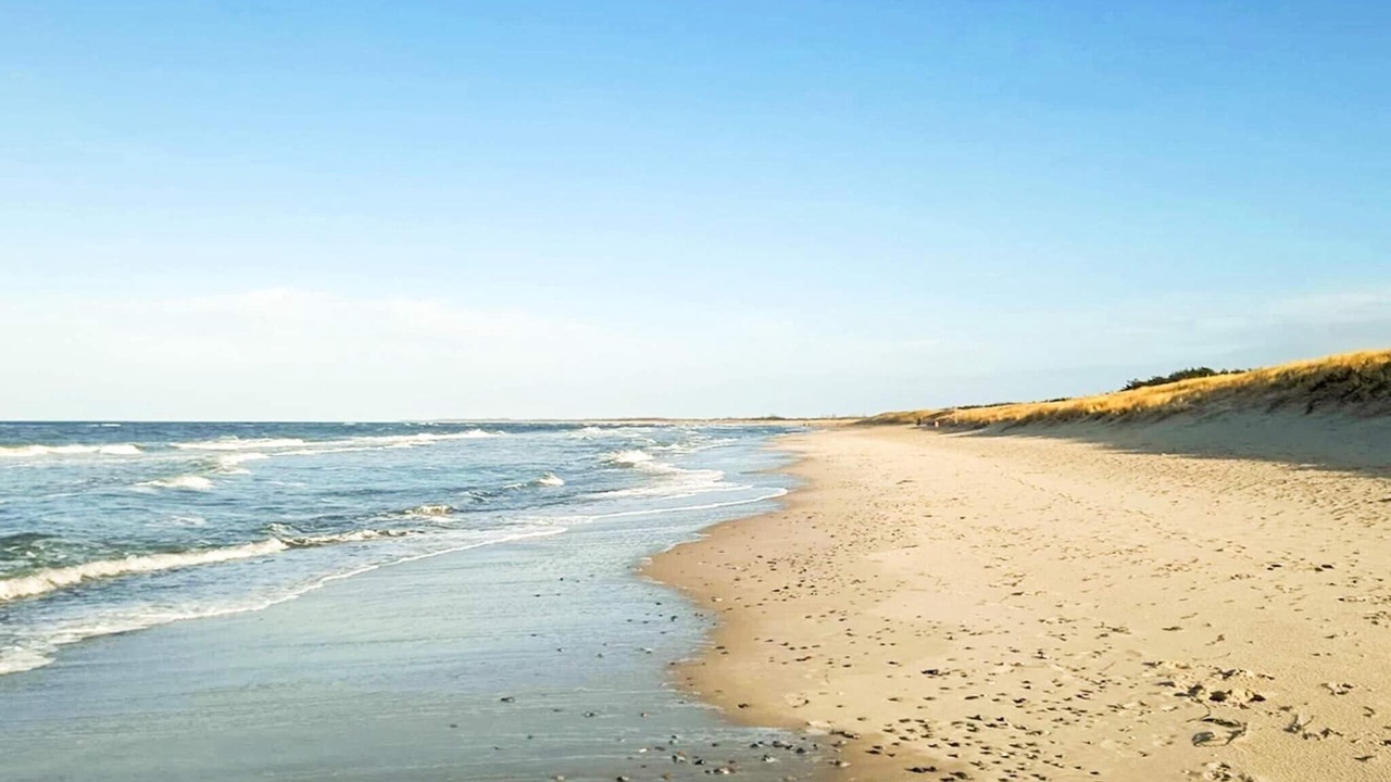 Photo of Others in Emmerlev