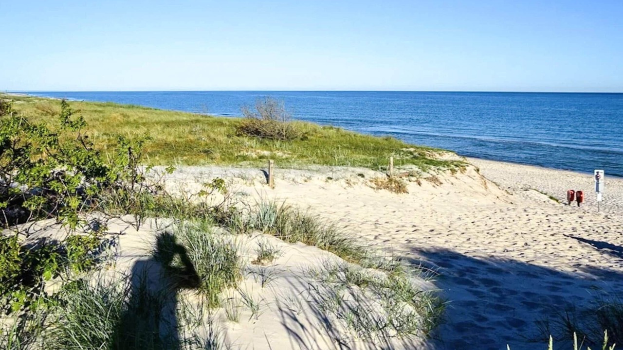 Photo of Others in Emmerlev