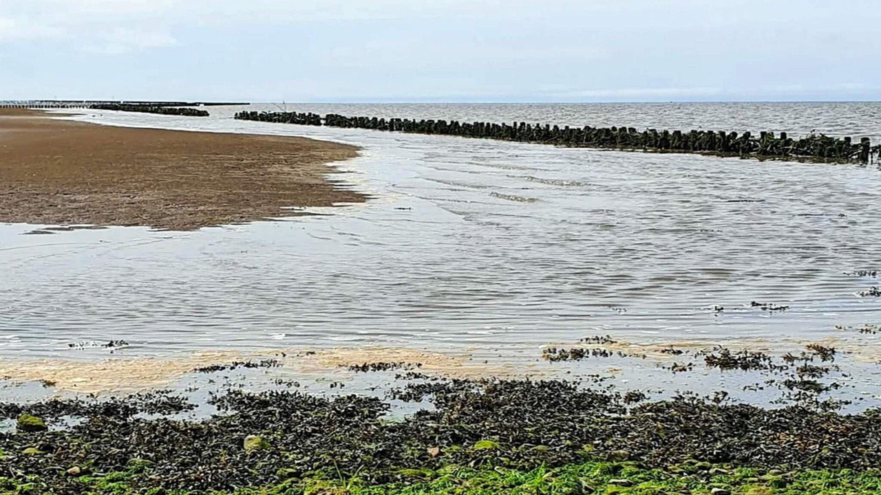 Photo of Others in Emmerlev