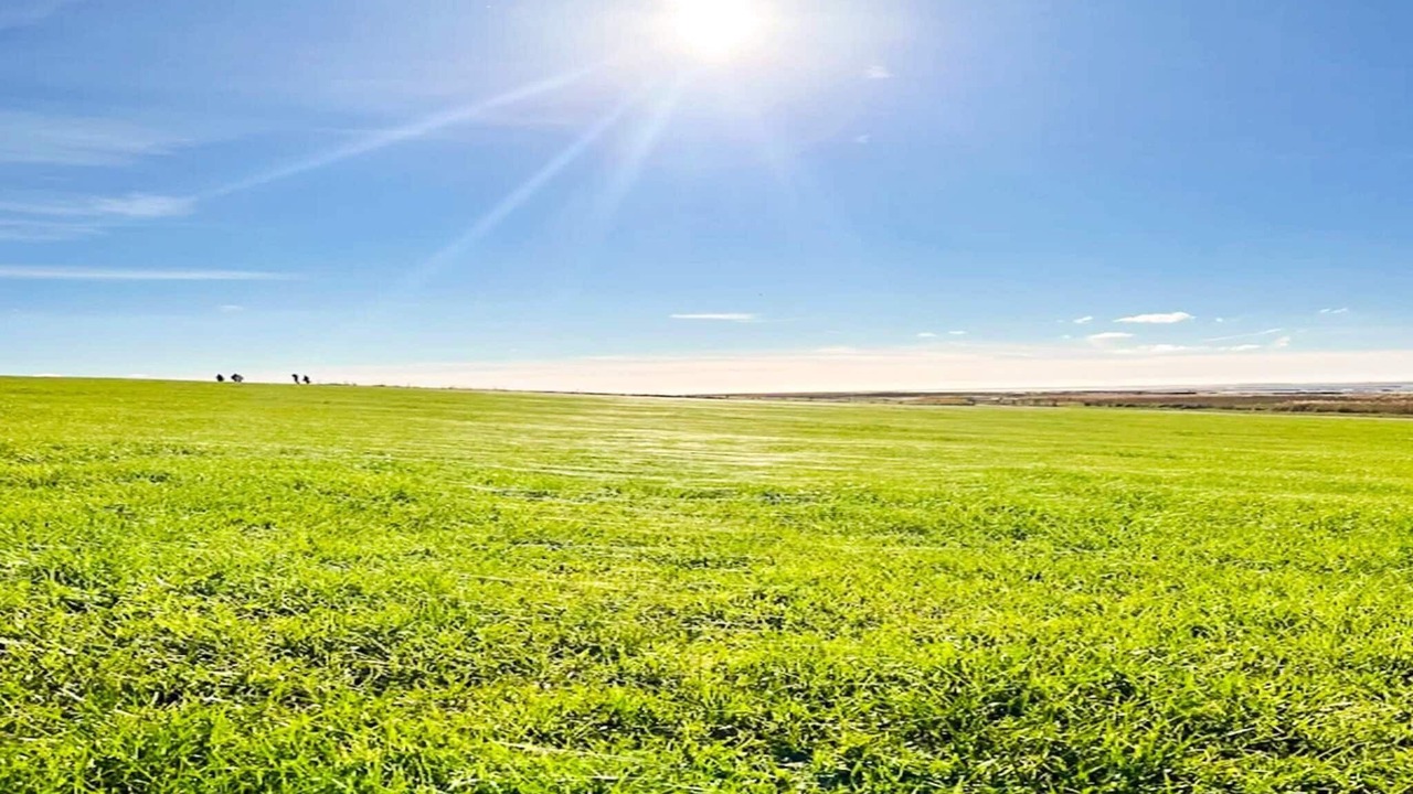 Photo of Others in Emmerlev