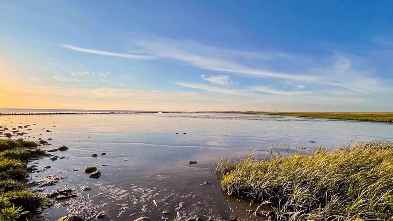 Photo of Others in Emmerlev