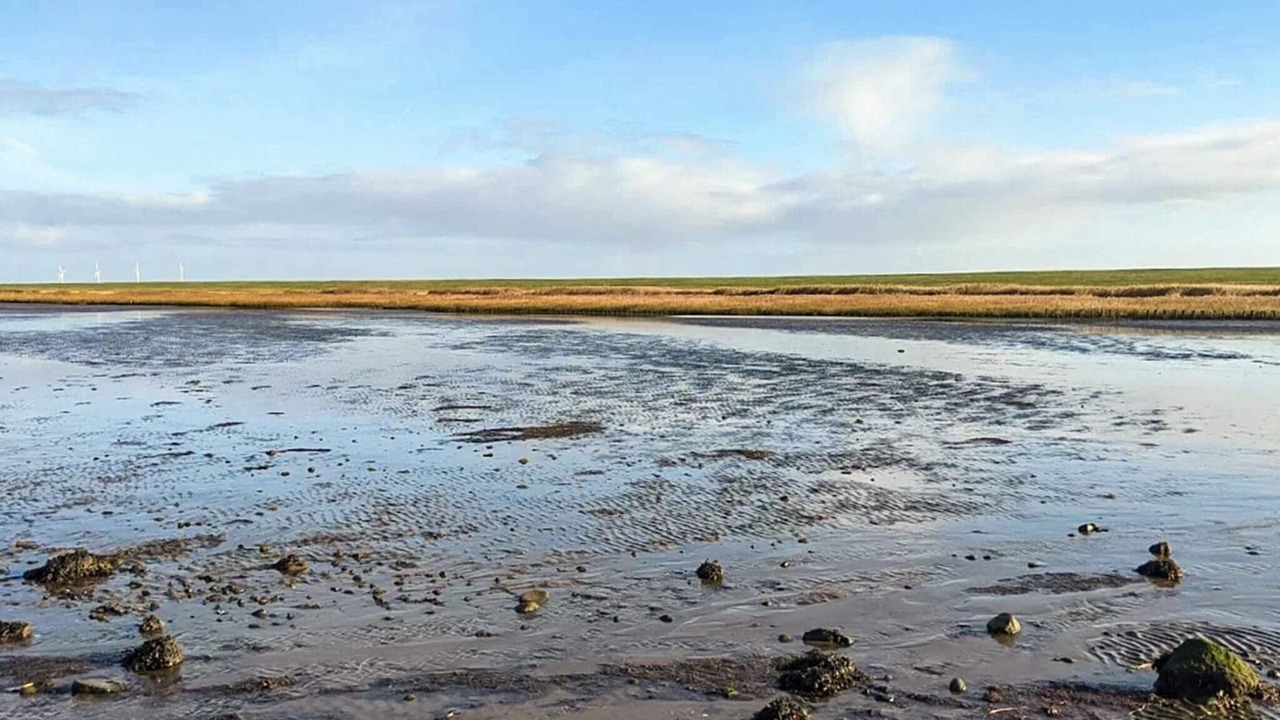 Photo of Others in Emmerlev