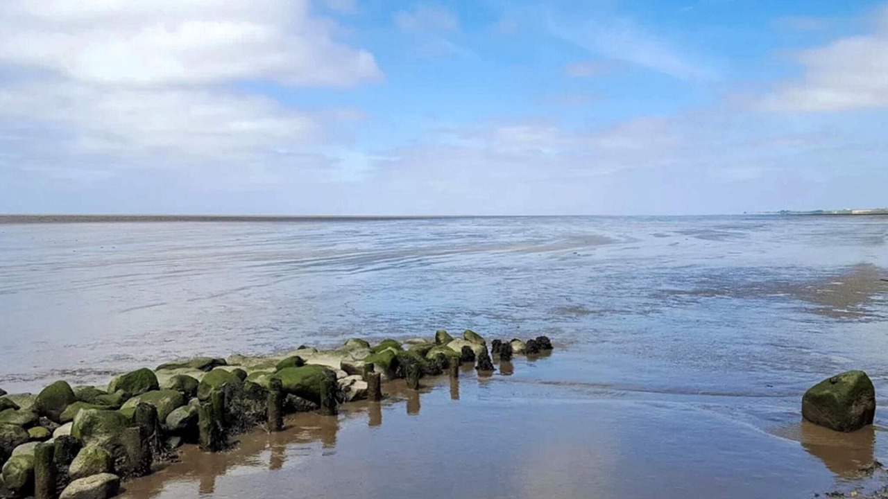 Photo of Others in Emmerlev