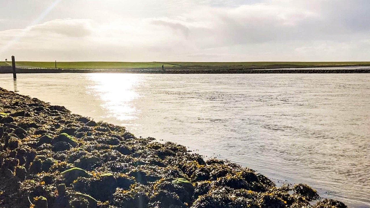 Photo of Others in Emmerlev