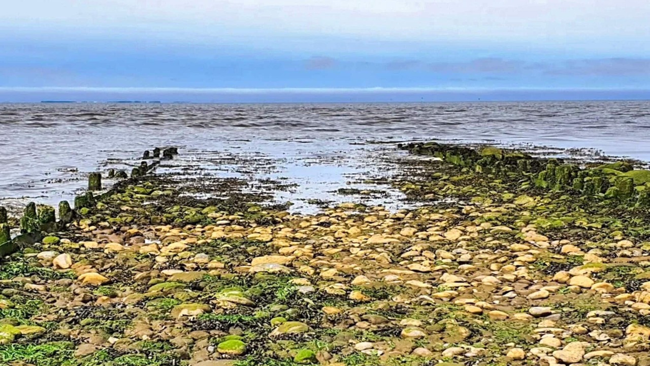 Photo of Others in Emmerlev