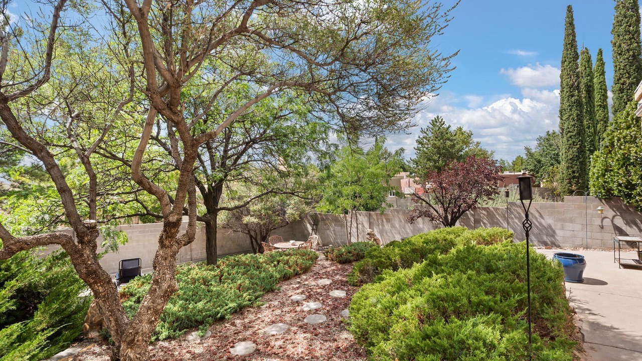 Photo of Outdoor in Northeast Heights