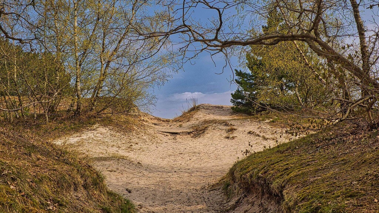 Photo of Others in Hvidbjerg Strand