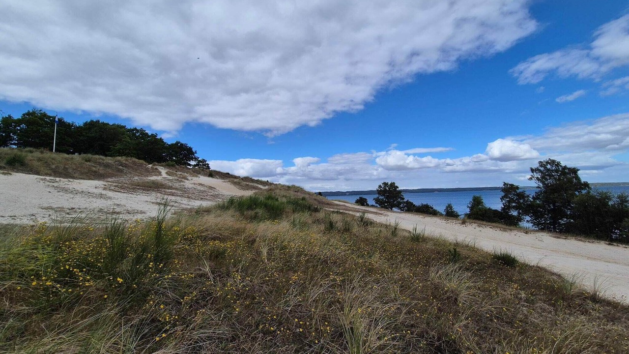 Photo of Others in Hvidbjerg Strand