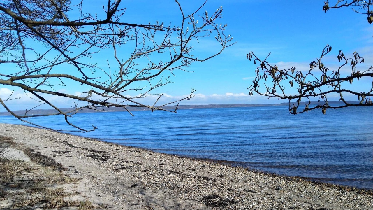 Photo of Others in Hvidbjerg Strand
