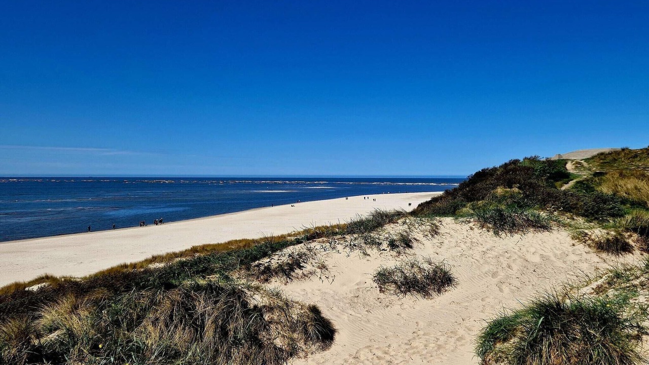 Photo of Others in Blavand Strand