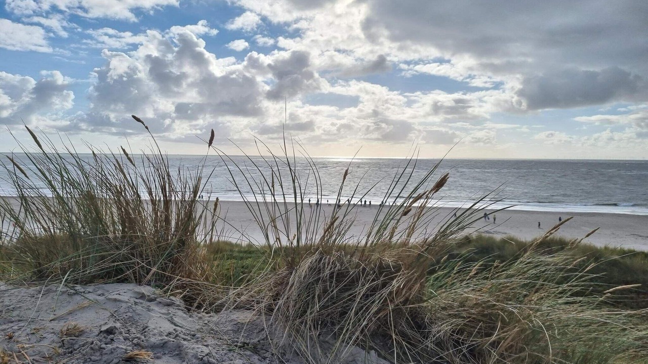 Photo of Others in Blavand Strand