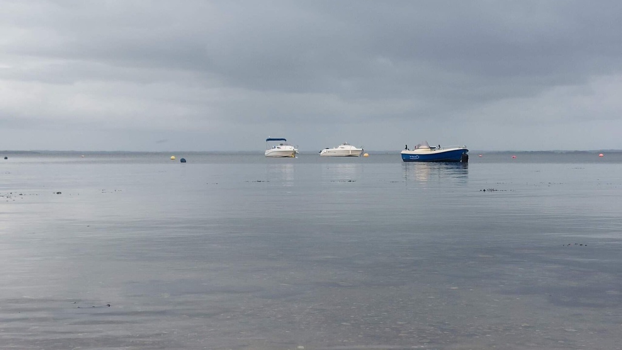 Photo of Others in Fynshav
