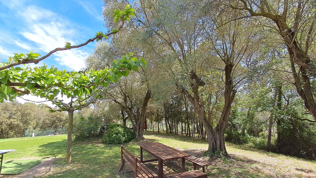 Photo of Outdoor in Porqueres