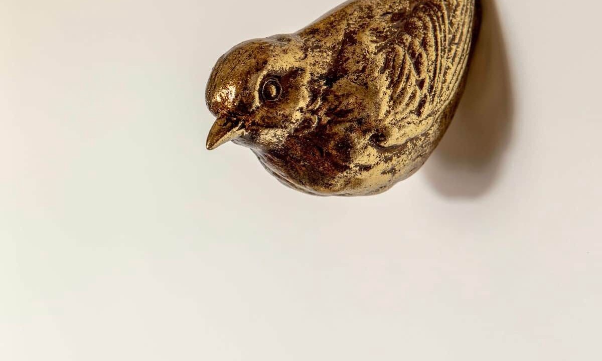 Photo of Others in Bath City Centre