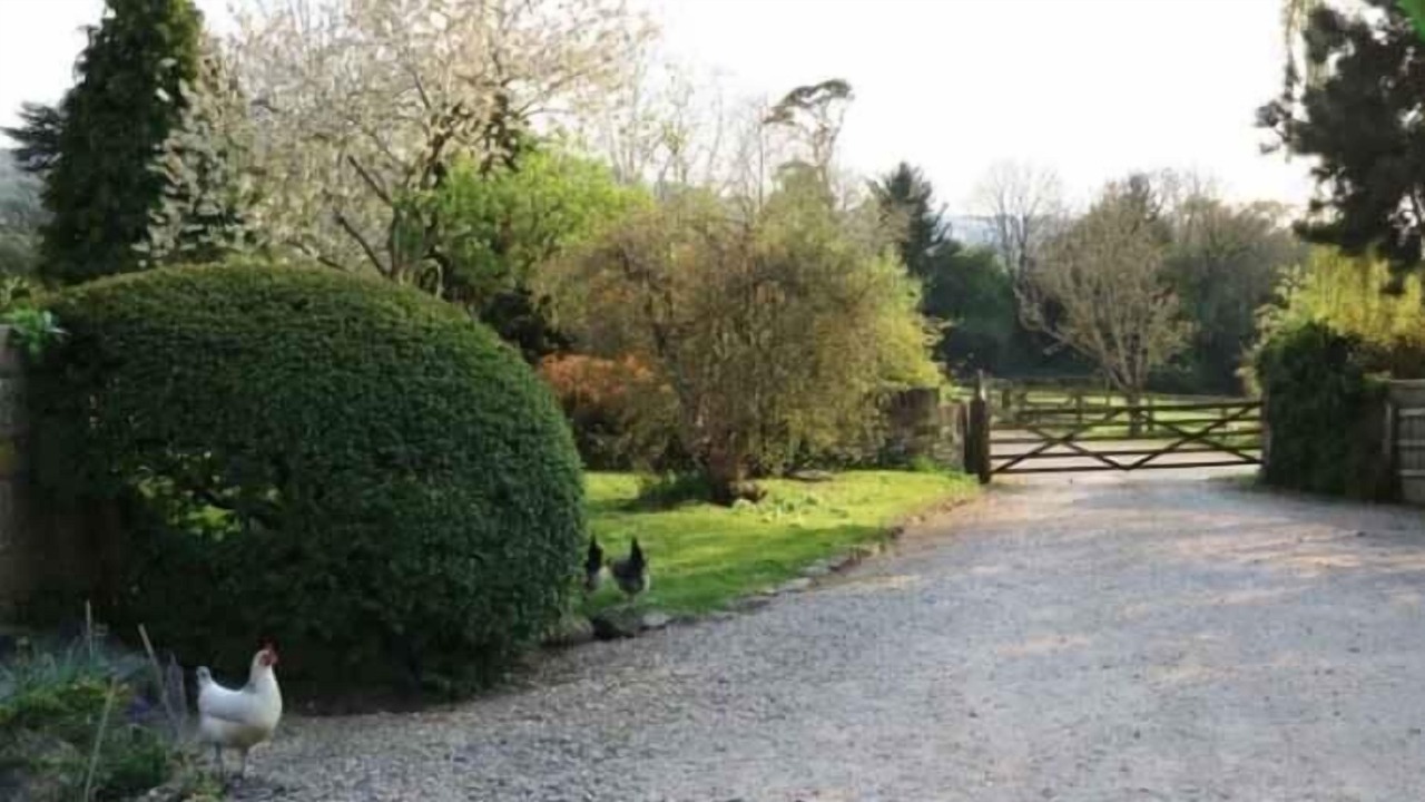 Photo of Others in Claverton