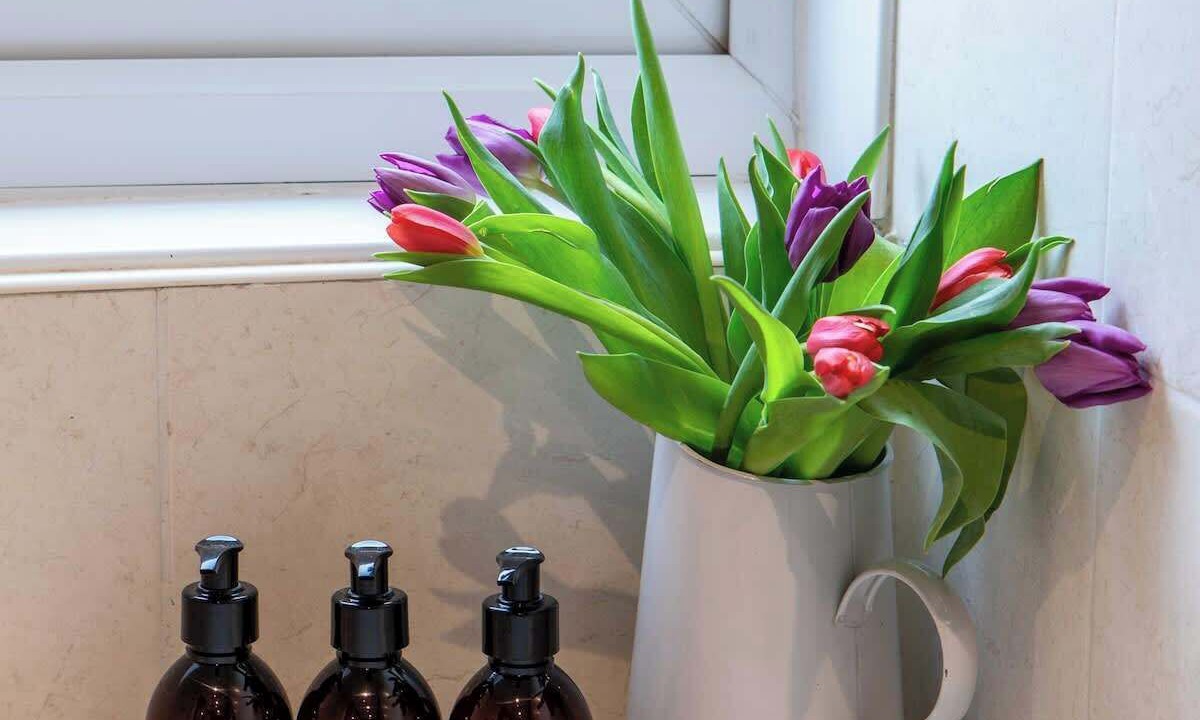 Photo of Others in Bradford-on-Avon