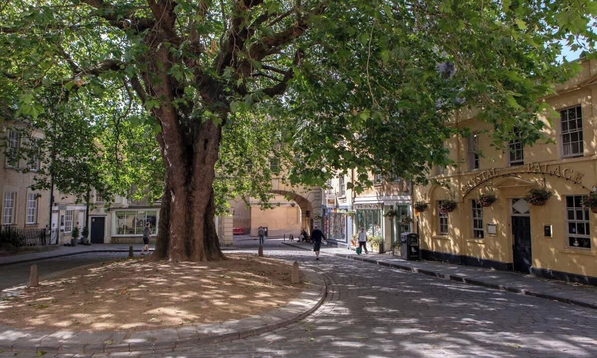 Photo of Others in Bath City Centre