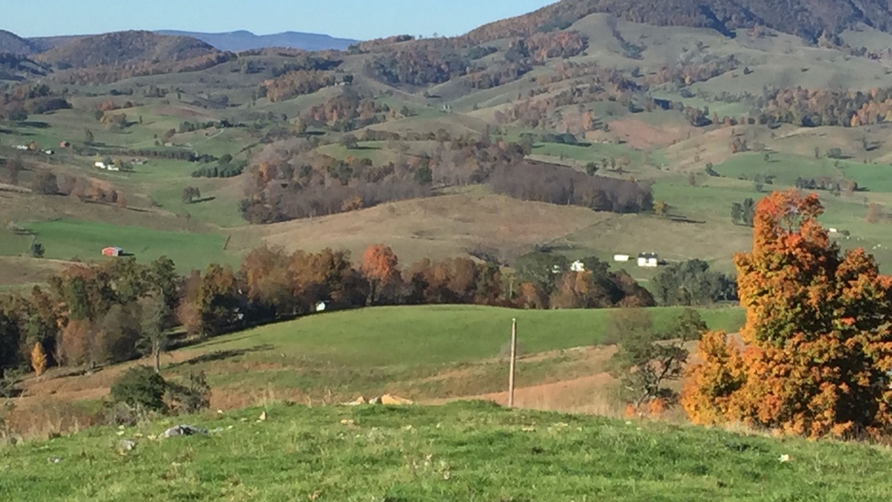 Photo of Others in Blue Grass