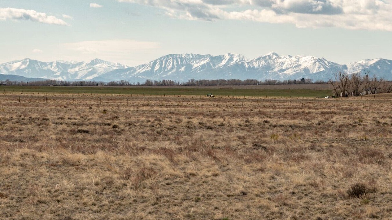 Photo of Others in Buena Vista