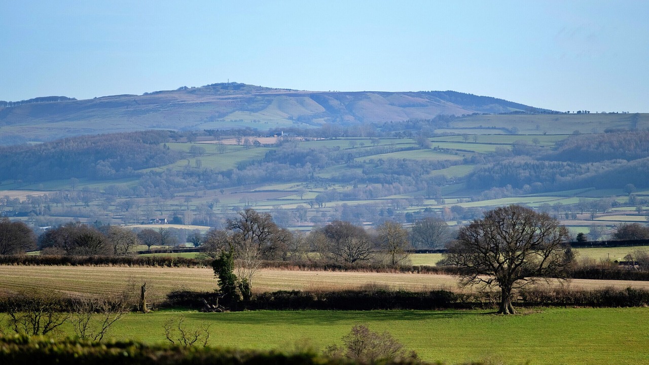 Photo of Others in Craven Arms